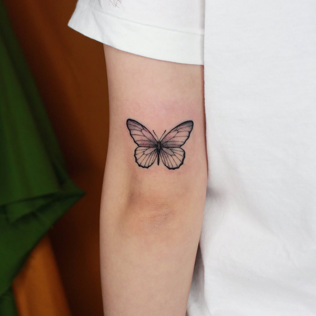 Animal, Nature