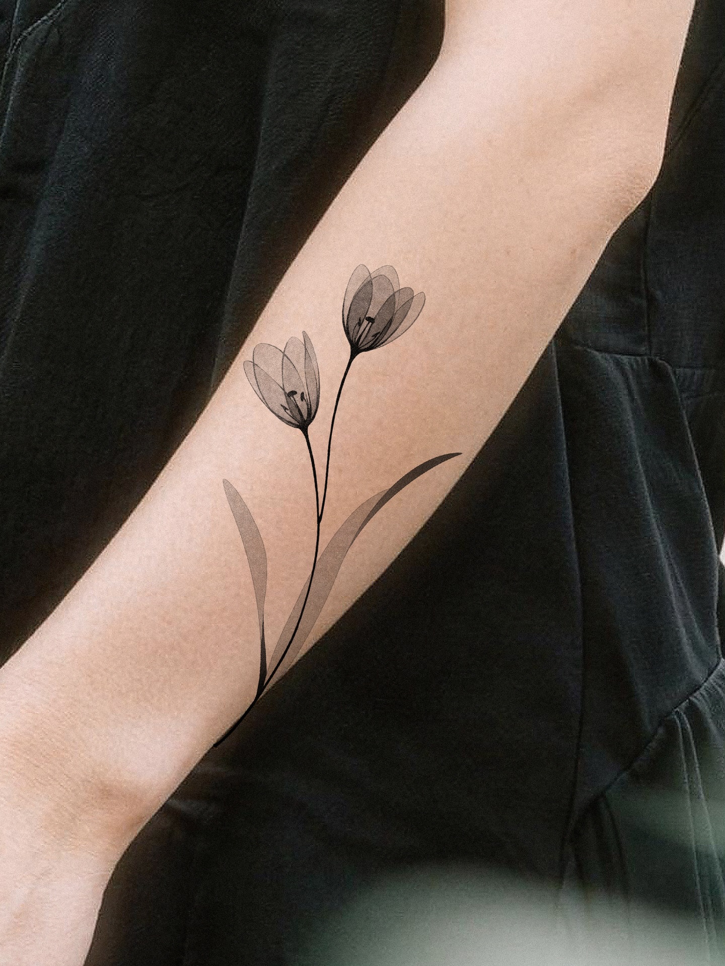 Flower, Nature, Rose