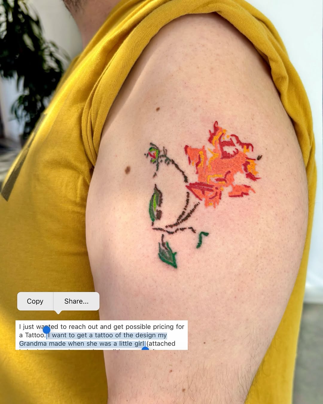 Flower, Rose