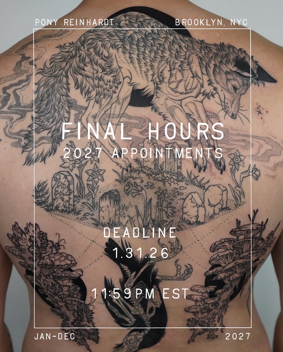 freeorgy