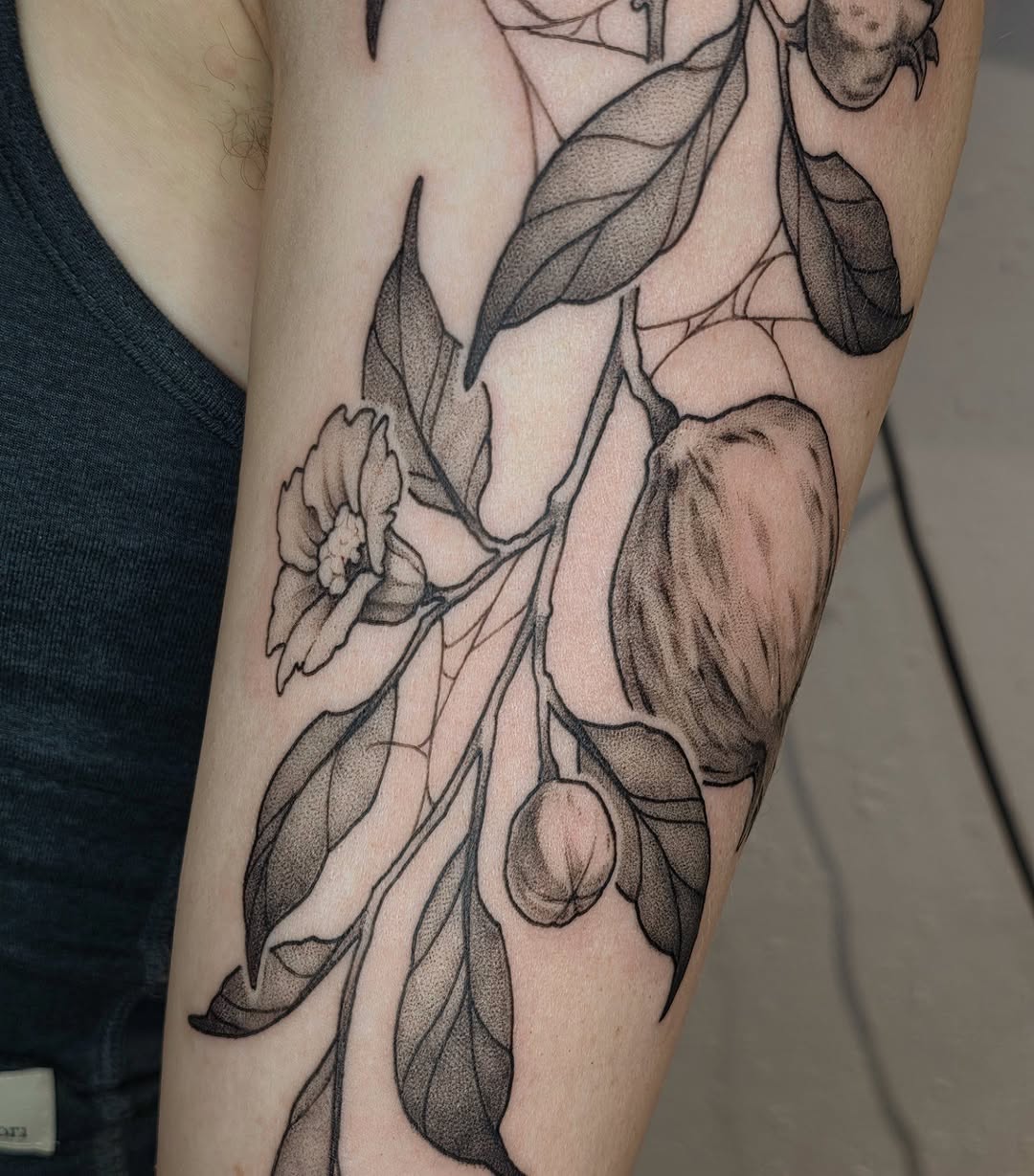 Flower, Rose, Nature