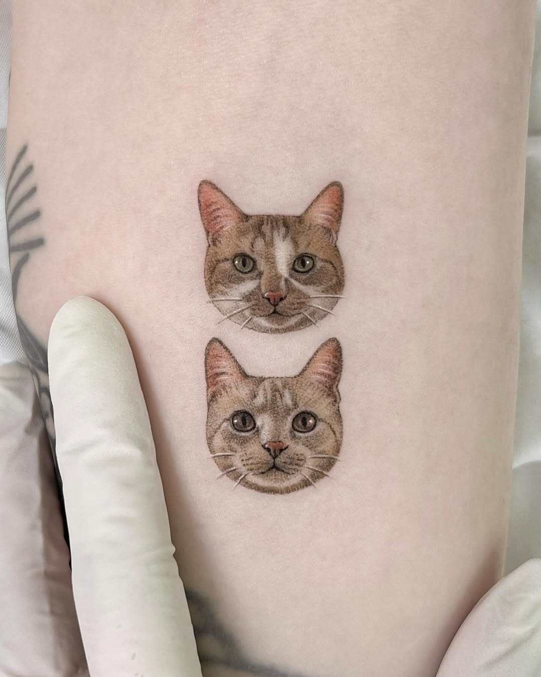dorok.tattoo
