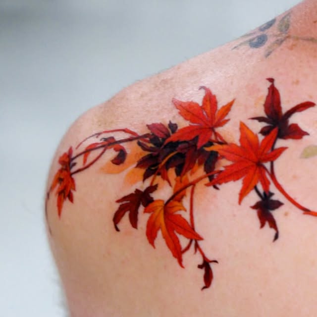 Flower, Nature, Rose