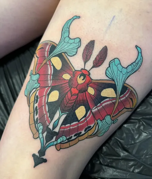 게, Animal, Nature, 오징어