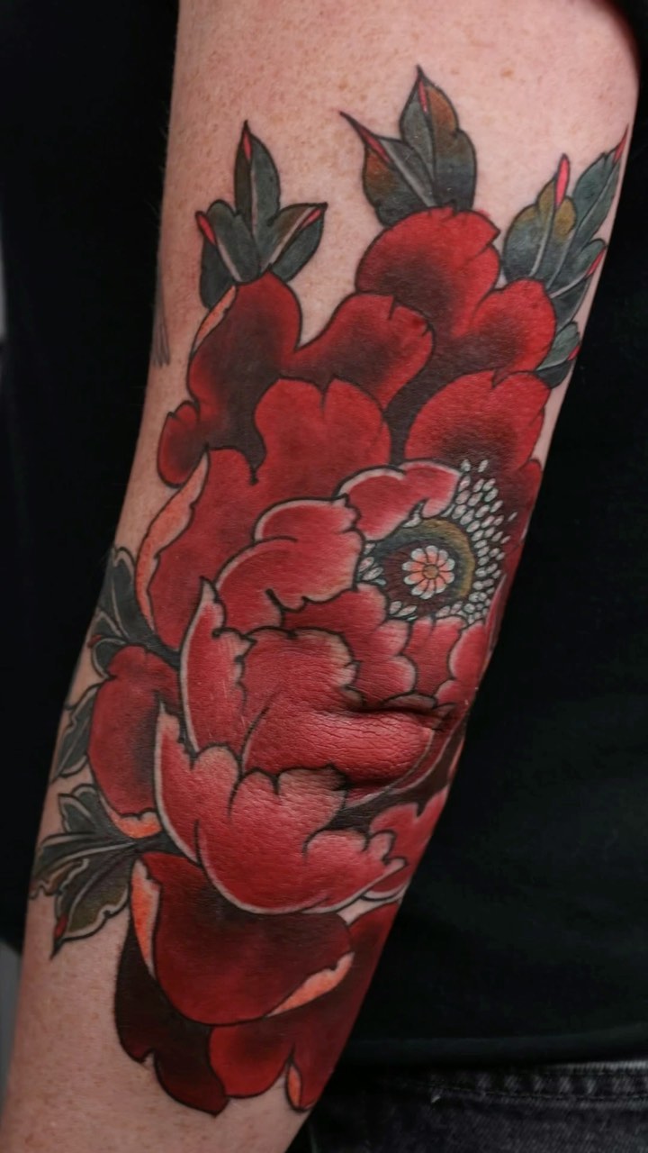 Flower, Rose