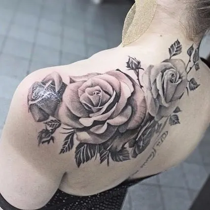 Flower, Rose, Nature
