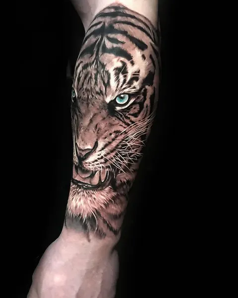 Tiger, 중국 호랑이, 한국 호랑이, 치타
