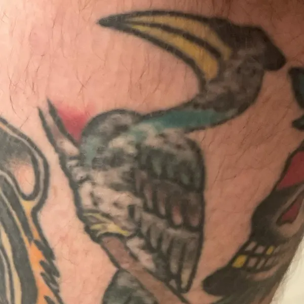 joshbovendertattoo