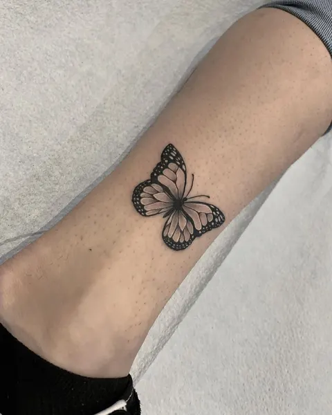 Animal, Nature