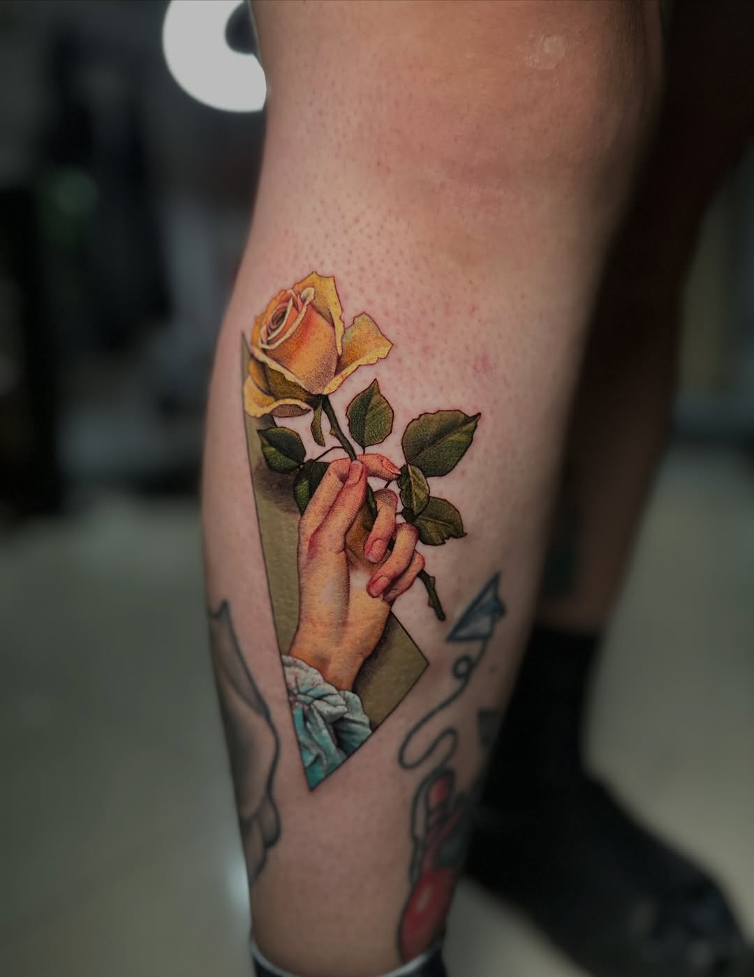 Flower, Rose
