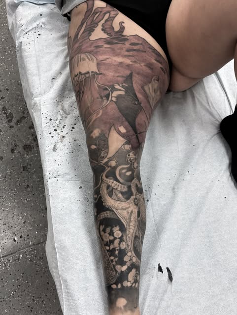 Animal, Dragon