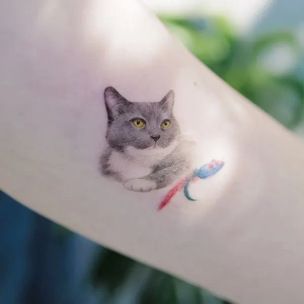 고양이, 반려동물, 마네키네코, 여우 가면