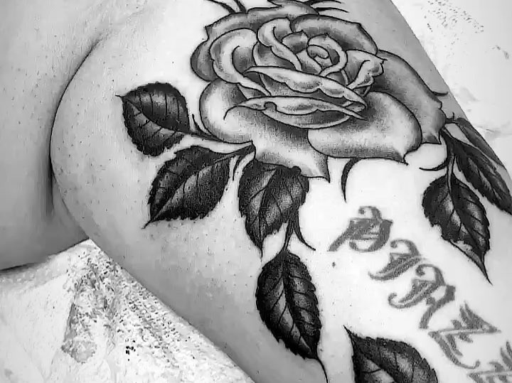 Flower, Rose