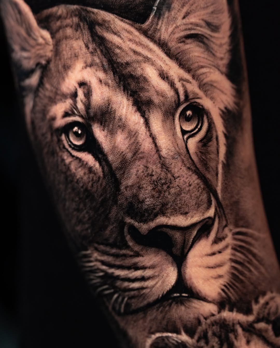 tonigarciatattoo