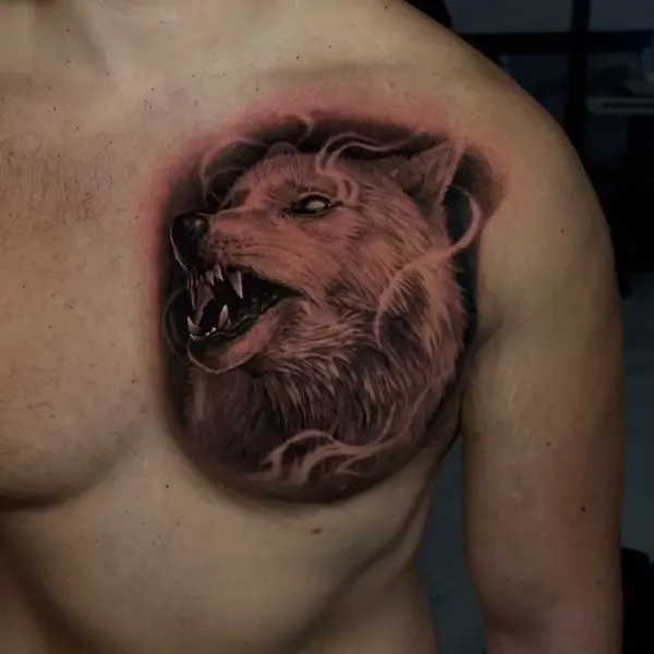 Animal