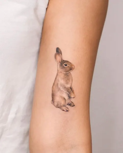 Animal