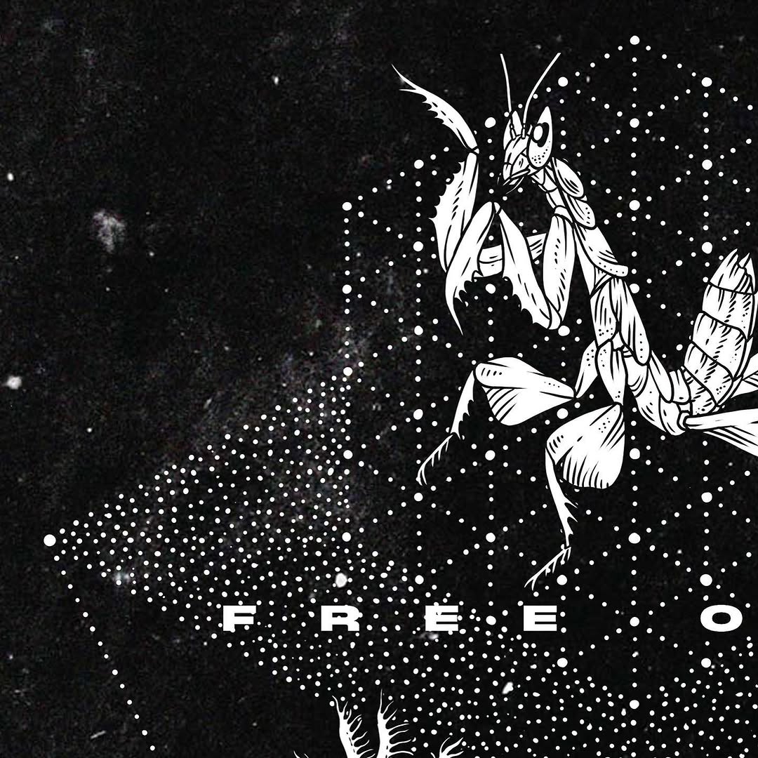 freeorgy