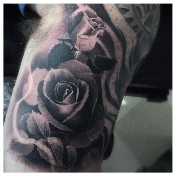 Flower, Rose
