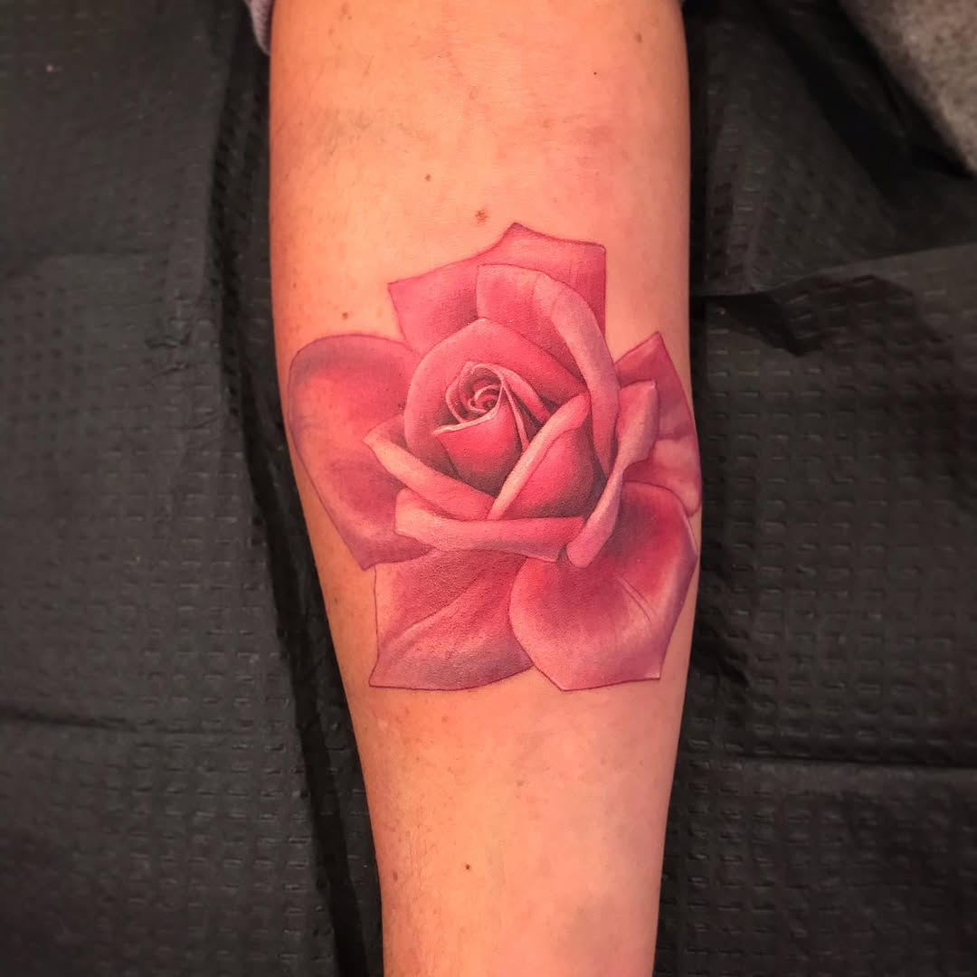 Flower, Rose