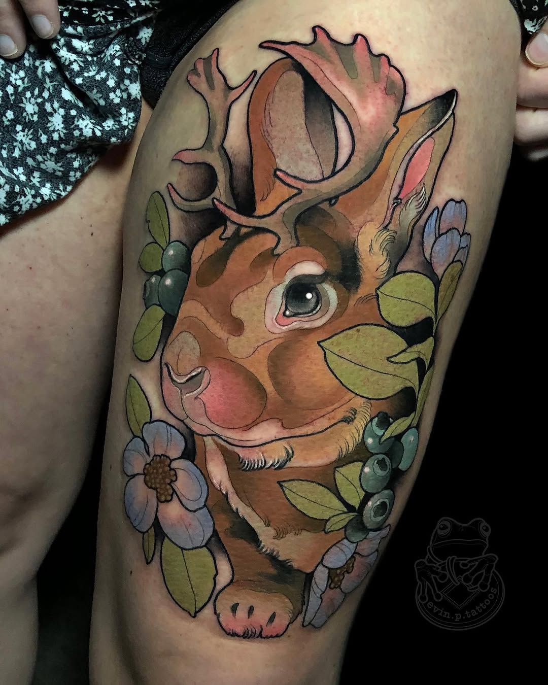 Animal