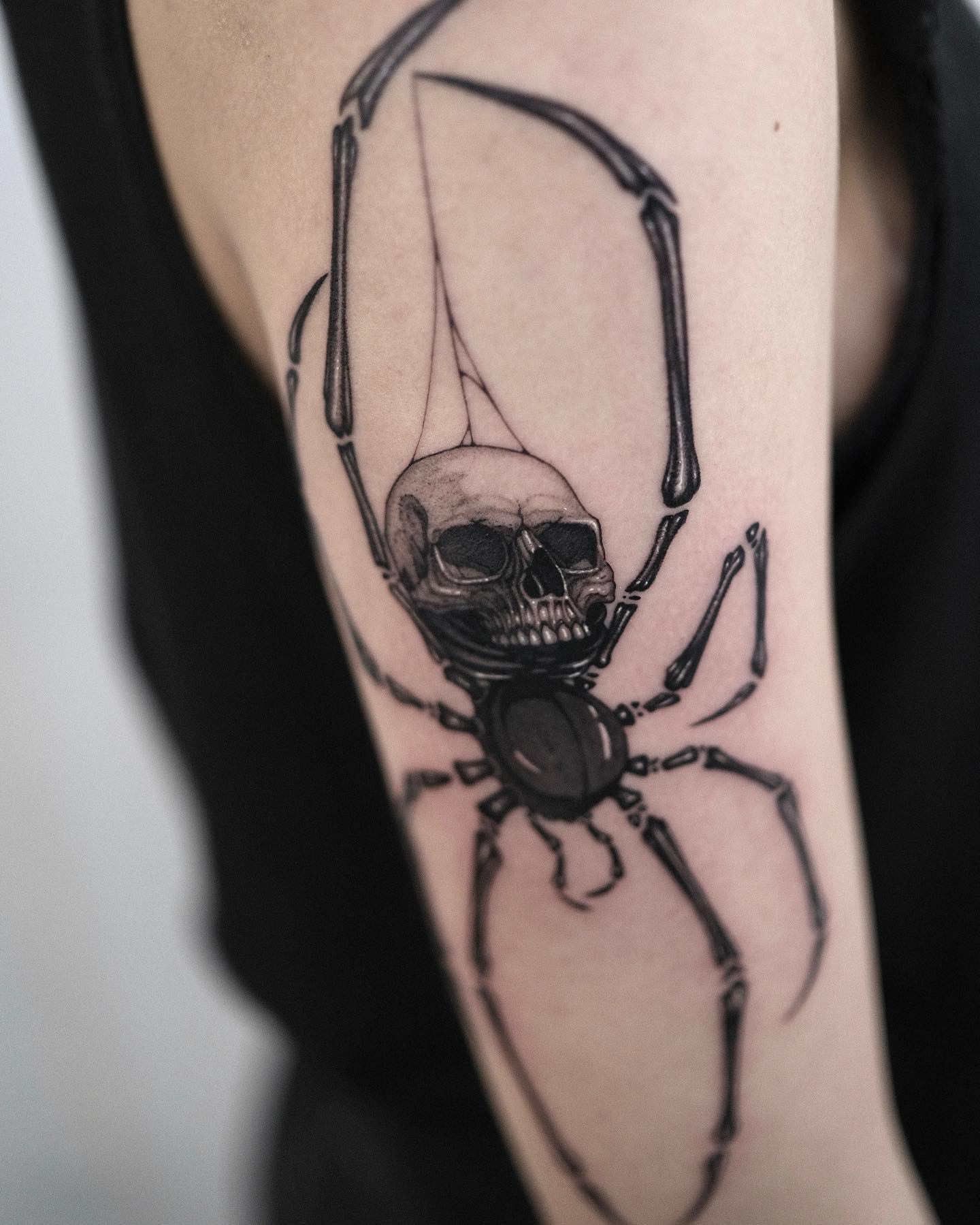 Animal, 거미