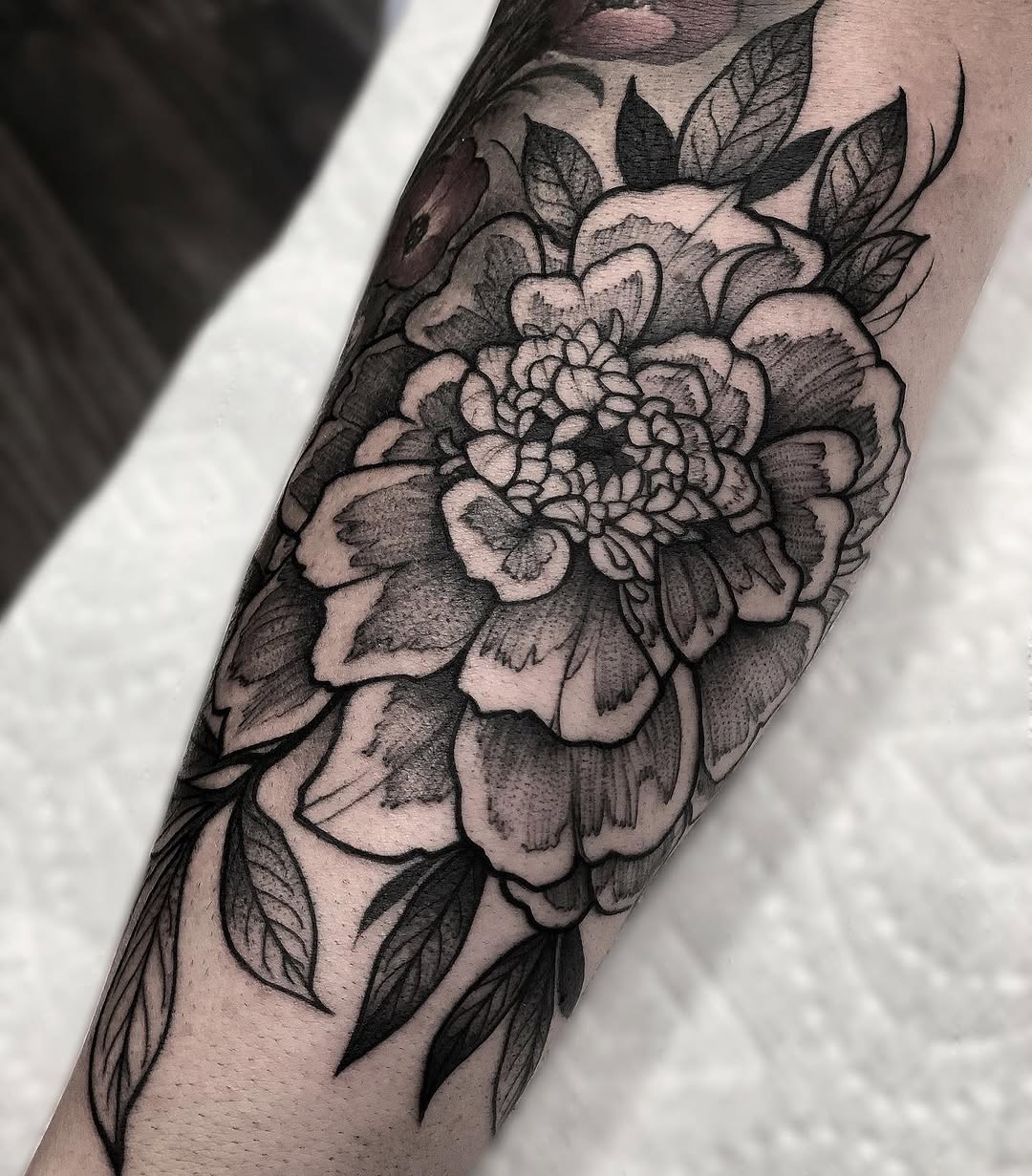 Rose, Flower