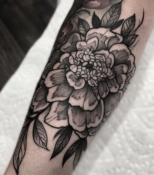 Rose, Flower