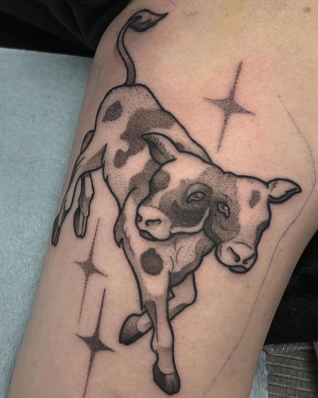 sarastigmata