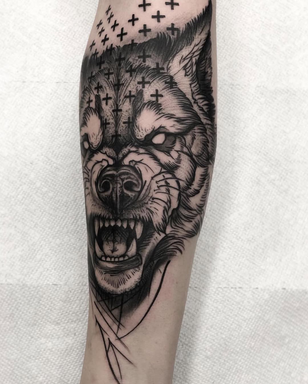 Tiger, Animal