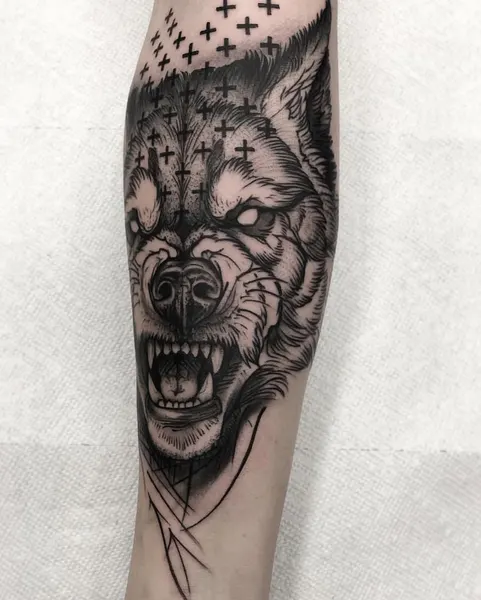 Tiger, Animal