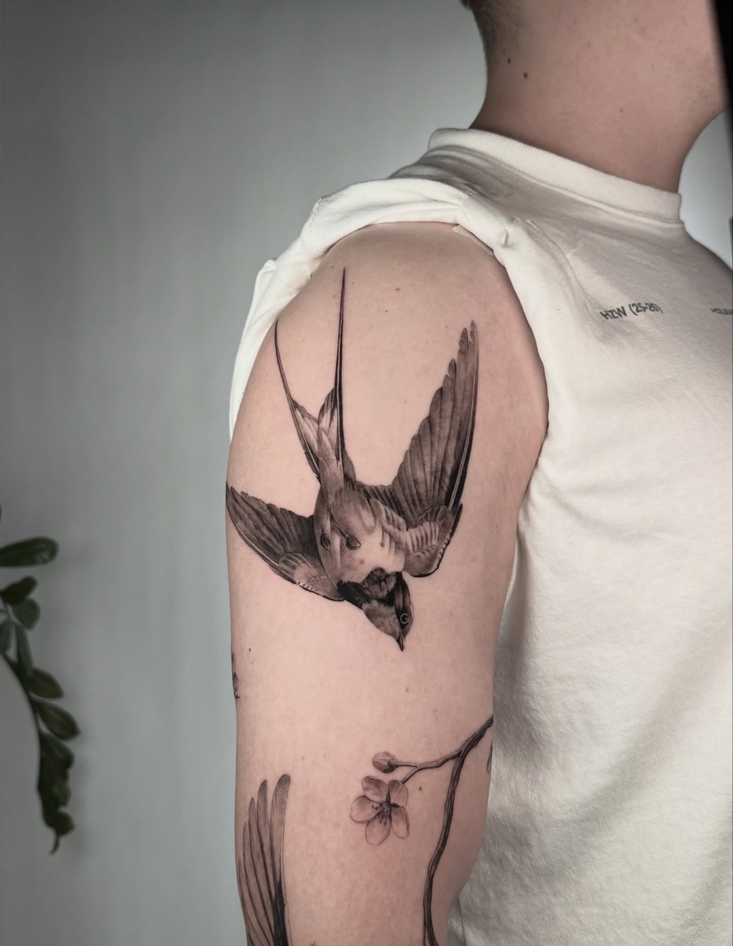 Animal