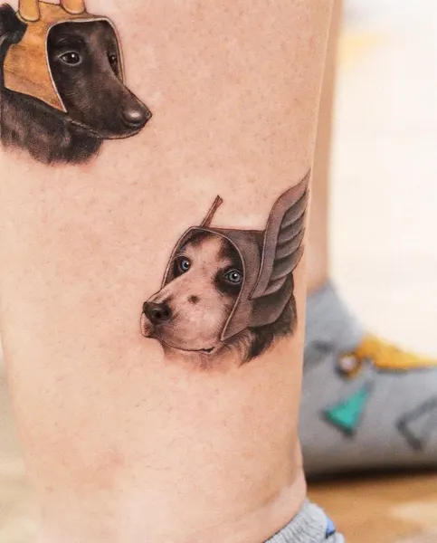 Animal