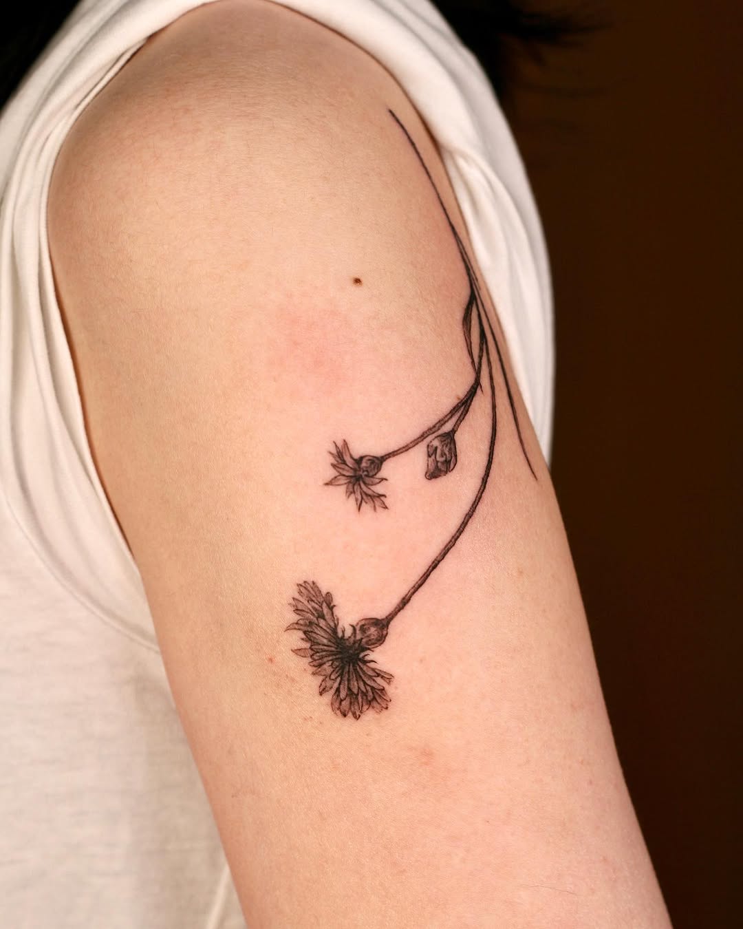 Rose, Flower