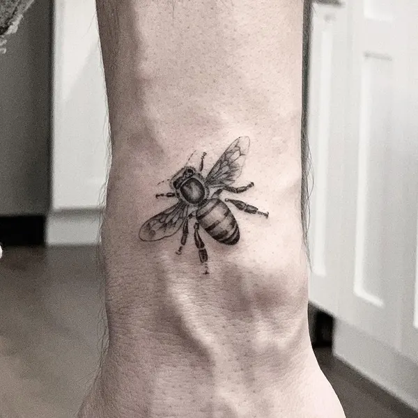 Animal