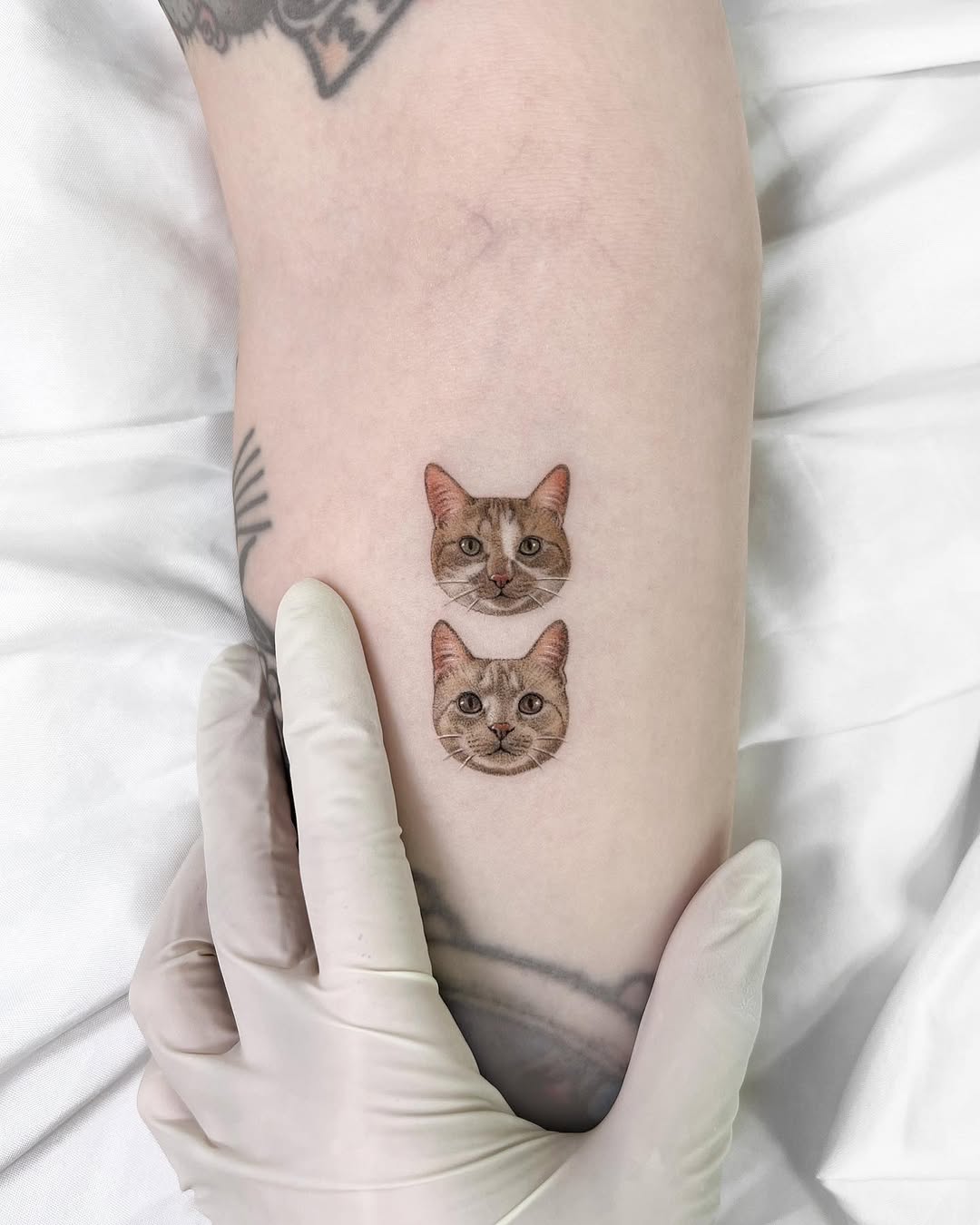 dorok.tattoo
