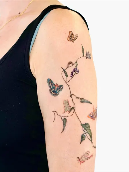 Flower, Animal, Rose, Nature
