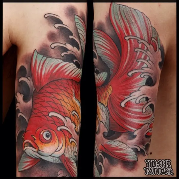 Animal