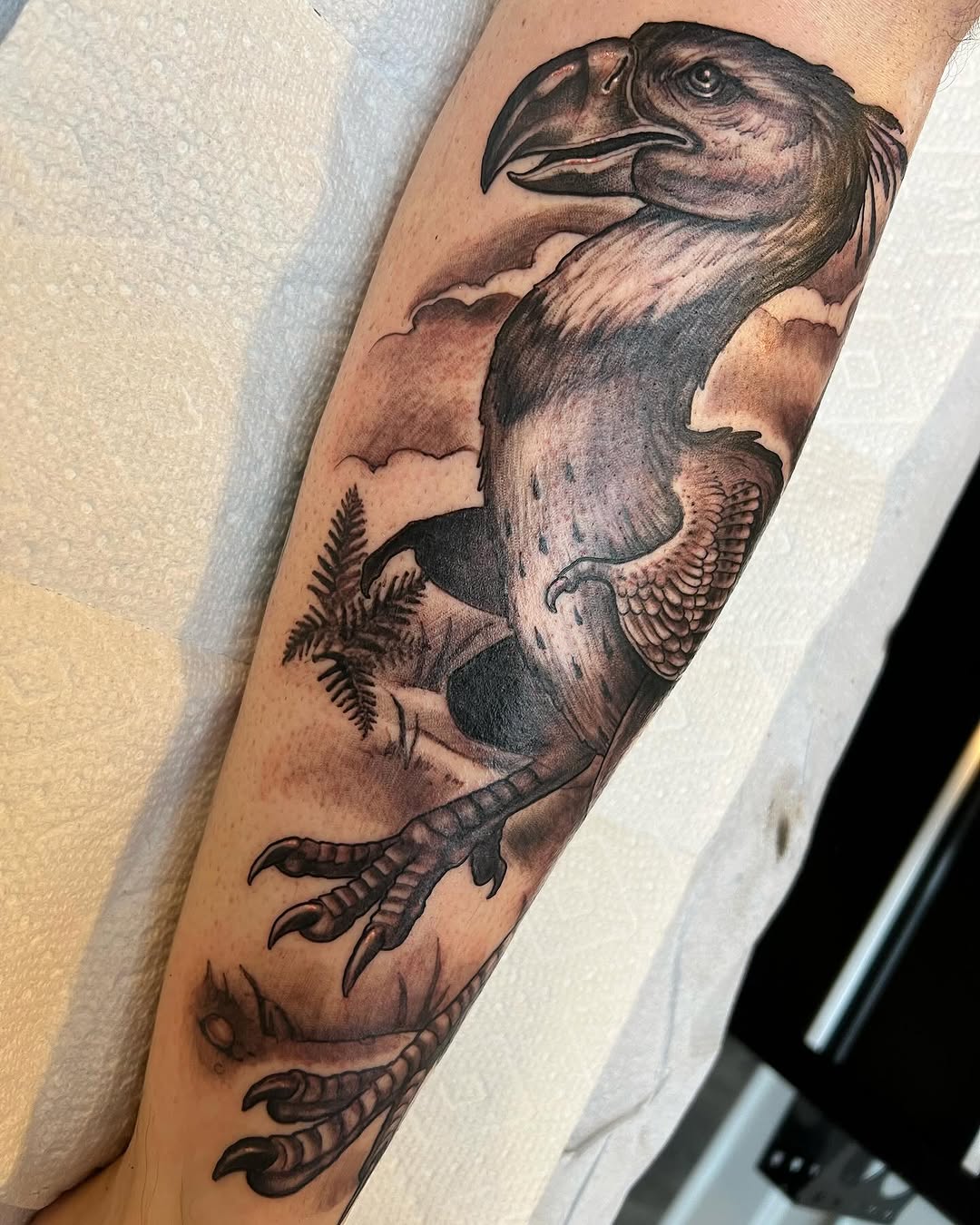 shawn_hebrank