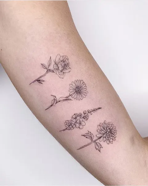 equilattera
