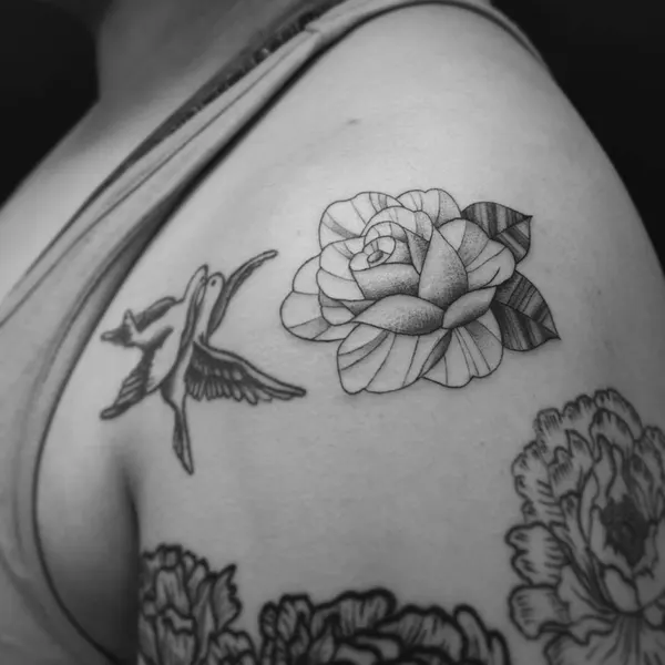 Flower, Rose, Nature