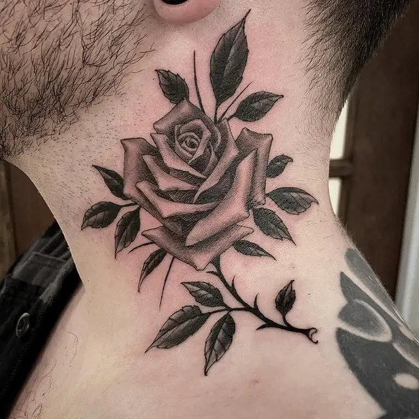 Flower, Rose, Nature