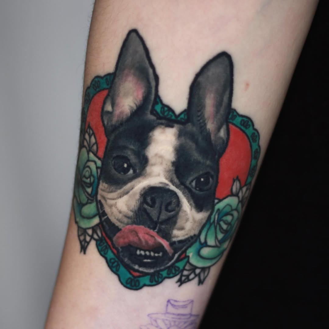 Animal