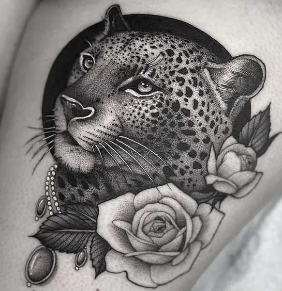 Animal