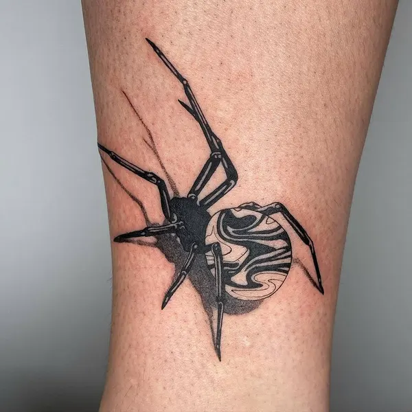 Animal, 거미