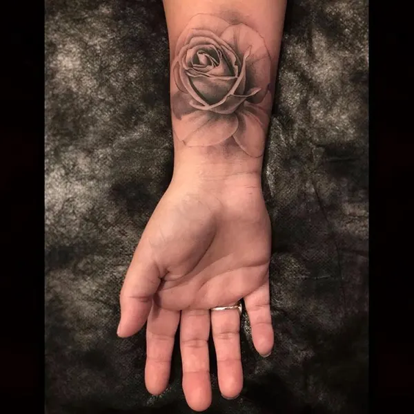 Flower, Rose