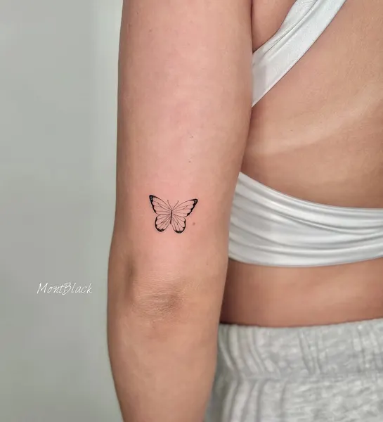 Animal, Nature