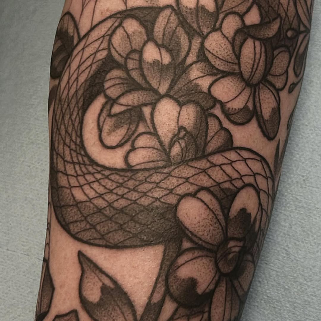 sarastigmata