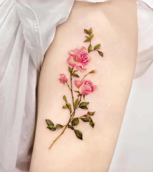 Flower, Rose