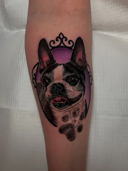 Animal