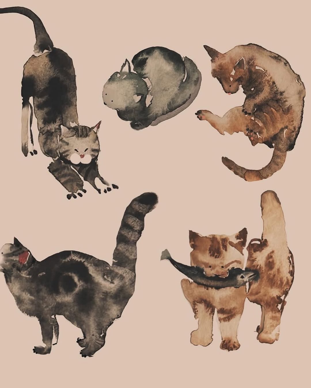 Animal